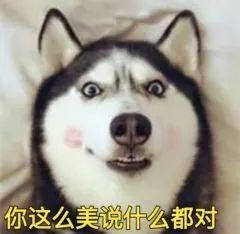 要哈士奇大腚娱乐吃瓜酱,吃瓜酱带你领略萌宠界的欢乐盛宴 第1张 要哈士奇大腚娱乐吃瓜酱,吃瓜酱带你领略萌宠界的欢乐盛宴 第1张